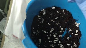 Фитильный полив. Двойной горшок своими руками. Фиалки на фитильном поливе