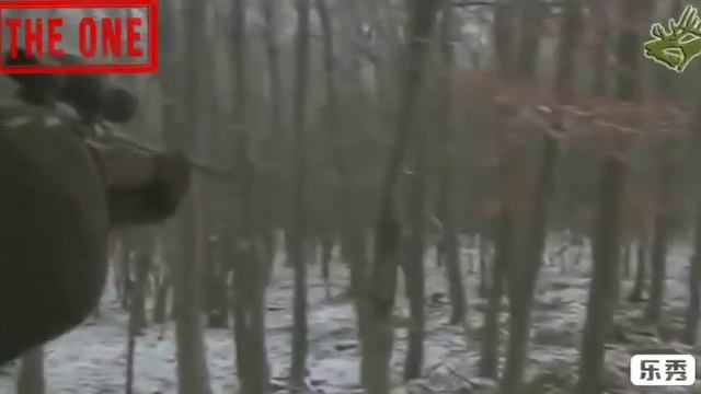 Охота на Кабан Апреля 30 2019 i смотреть онлайн