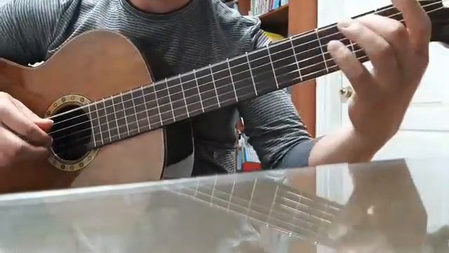 월광(F.소르) 기타연주 Fingerstyle Guitar Solo F.Sor  “Moon Light”