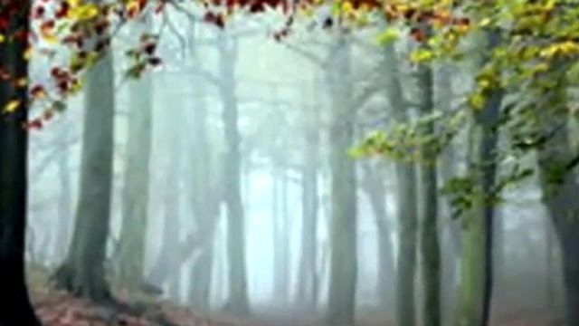 Что такое осень фрагмент смотреть онлайн