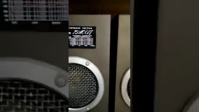 Продаю колонки Амфитон 25АС-027 смотреть онлайн