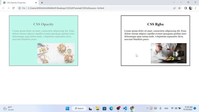 CSS Tutorial || CSS Opacity Property (HINDI / URDU) | Lesson-14 смотреть онлайн
