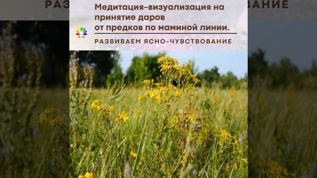 Медитация на принятие даров от рода смотреть онлайн