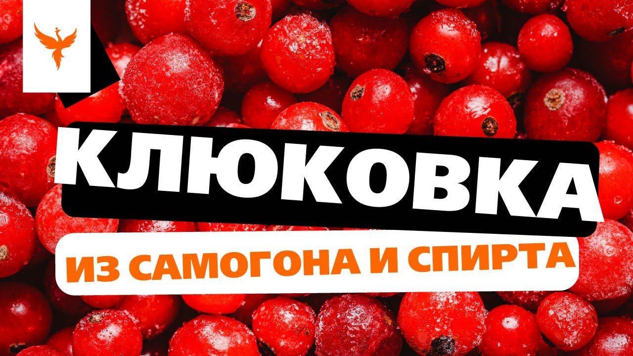 рДЖ 80: Клюковка из самогона и спирта. Любимый рецепт маршала Победы смотреть онлайн