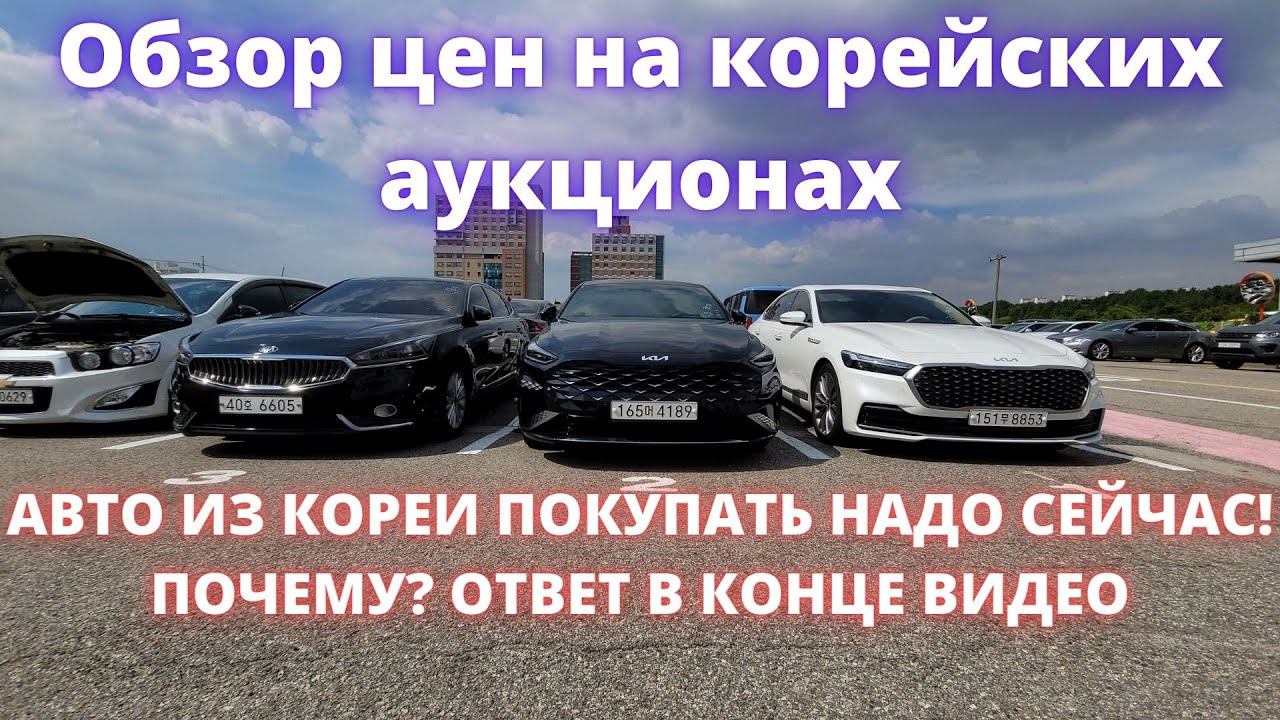 АВТО ИЗ КОРЕИ. ПОЧЕМУ ЛУЧШЕЕ ВРЕМЯ ПОКУПАТЬ АВТО ИЗ КОРЕИ СЕЙЧАС? ОБЗОР КИА К9, K8, K7, K5, SONATA