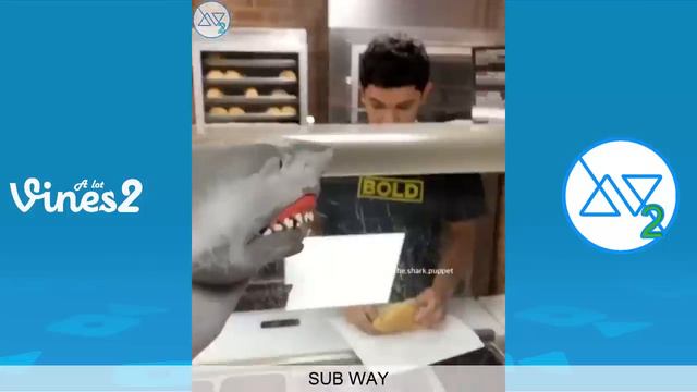 Funny Shark Puppet Instagram Videos Compilation 2019 | Best Shark Puppet Videos (W/Tittles)