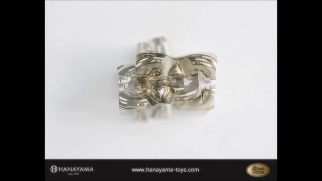 Hanayama Cast Puzzle Cast H&H