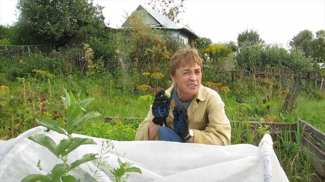 Томск Дача Лето 2017 смотреть онлайн