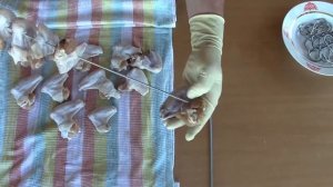 Крылья холодного копчения