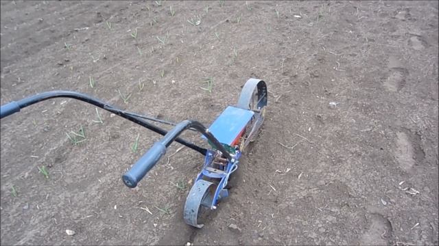 Чеснок- весенняя подкормка озимого чеснока смотреть онлайн