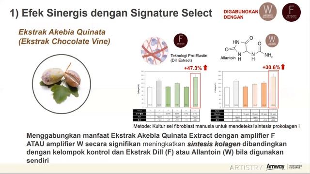 Artistry Vita Collagen Capsule смотреть онлайн