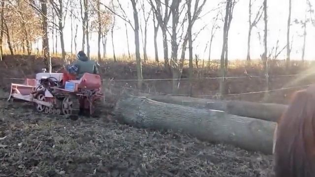 Raupe: Bolgar TL 30 A, Holzeinsatz смотреть онлайн