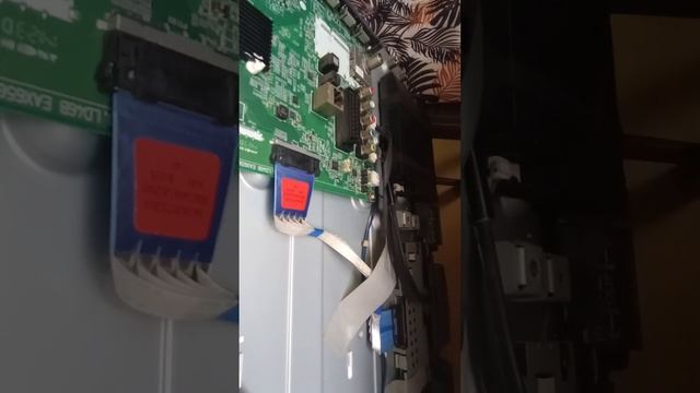 Телевизор LG зелёный, белый экран. смотреть онлайн