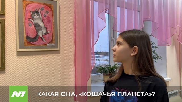 КАКАЯ ОНА "КОШАЧЬЯ ПЛАНЕТА"? смотреть онлайн