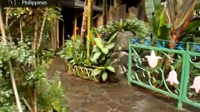 Тропический зоопарк Авалон - Avalon Zoo смотреть онлайн