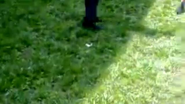Уличный Street Fight.mp4 смотреть онлайн