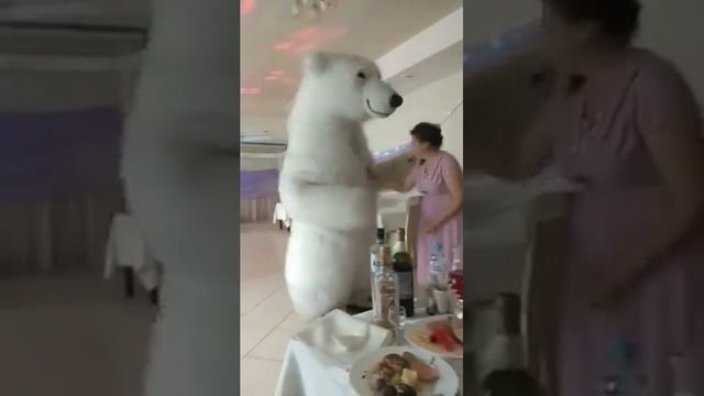 Белый медведь смотреть онлайн