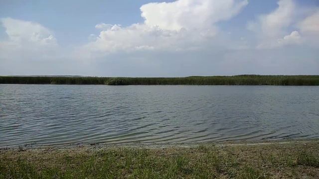 Рыбалка куда поехать. Река Дон. Волгоградская область. населенный пункт Колпачки смотреть онлайн