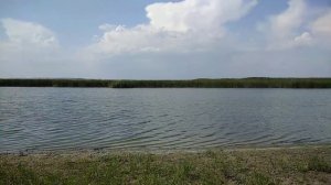Рыбалка куда поехать. Река Дон. Волгоградская область. населенный пункт Колпачки