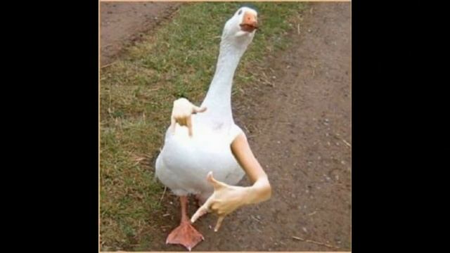 Мама ама криминал?