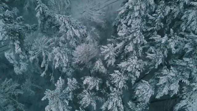 Йоль - Зимнее Солнцестояние смотреть онлайн