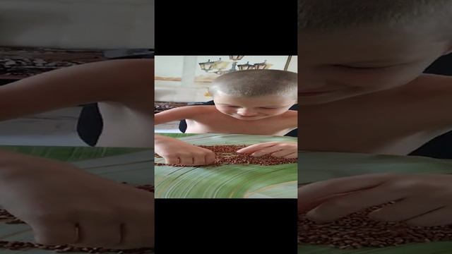 1000000402.mp4 смотреть онлайн