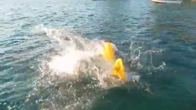 Прыжки в воду с кругом смотреть онлайн