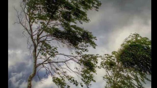 Белая береза (cover by Igor Glushkov) смотреть онлайн