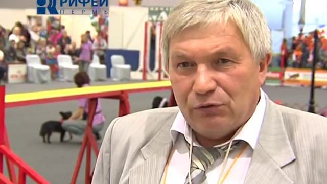 Большие собаки. Прыжки в высоту. смотреть онлайн