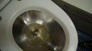 Смыв бачка в био туалете поезда.