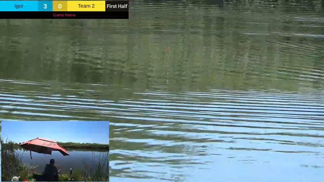 Crucian Carp, California, May 13, 2023 смотреть онлайн