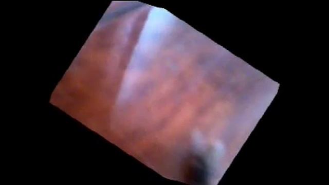 Муха танцует брейк-данс смотреть онлайн