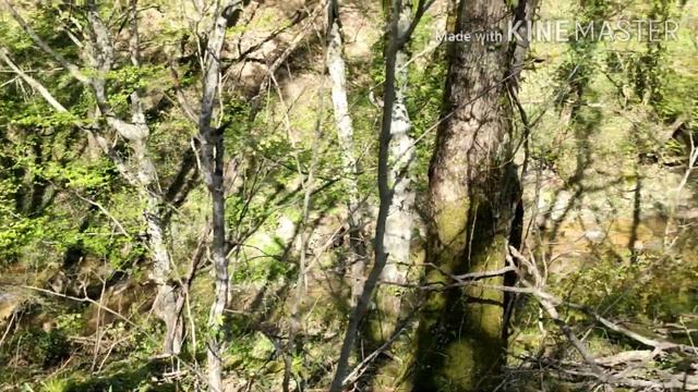 Архипо-Осиповка Гебиусские водопады Куда сходить? смотреть онлайн