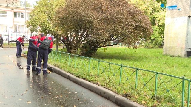 Мы — петербуржцы. Сергей Стрела - сотрудник Жилищного агентства Красногвардейского района смотреть онлайн