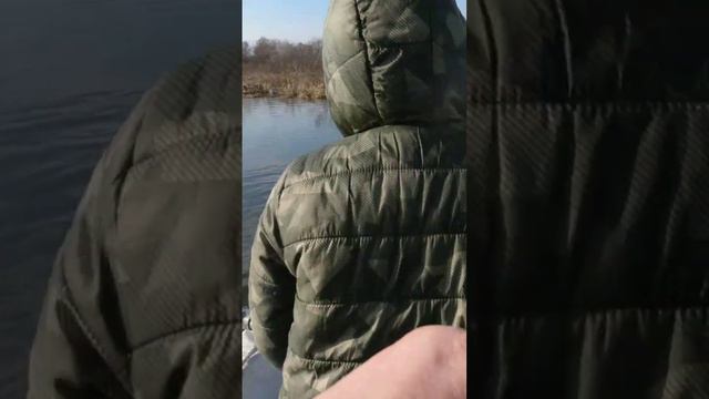 Преднерестовая щука #щука #трофей #рыбалка #спиннинг #судак #сом #карп #сазан #трофейнаящука смотреть онлайн