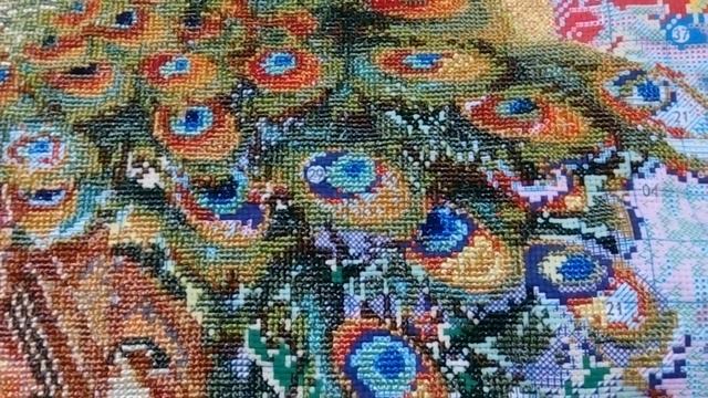 "Павлины в магнолии". Отчет 3. СП "Больше, чем просто большая"от Лилии букет смотреть онлайн