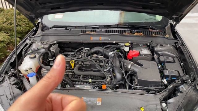 Ford Fusion – Engine coolant смотреть онлайн