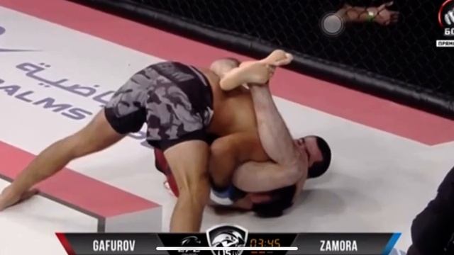 Муин Гафуров ??-??Уолтер Замора Полный бой. Абу-Даби смотреть онлайн