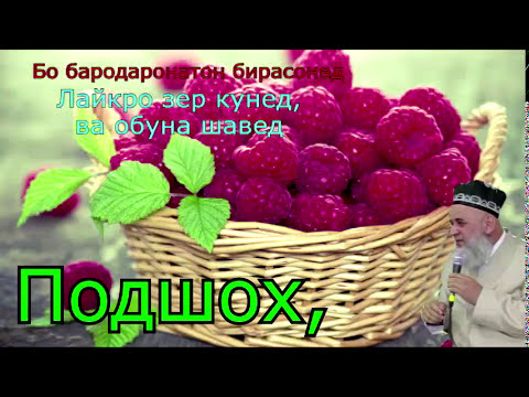 ПОДШОХ СОЯИ ХУДОСТ ДАР ЗАМИН - ХОЧИ МИРЗО