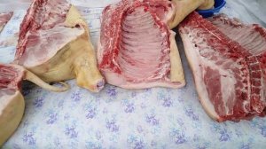 Убрали внутряка кабана Жору. Есть ли запах от сала и мяса? Стоит ли оставлять таких поросят?