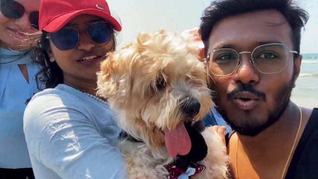 Amazing Malvan Trip: Part-2 VLOG MALVAN [KONKAN] Nov 2022 Beach Road Trip to Malvan #belgaum #malva смотреть онлайн