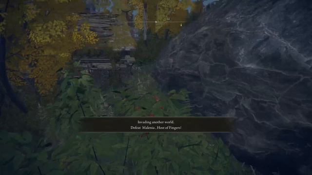 So I used an OKINA BUILD... (Elden Ring Invasions) смотреть онлайн