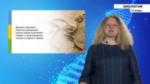 11-класс | Биология |  Движущие силы эволюции. Макро- и микроэволюция