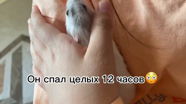 Мася заболел🥺 смотреть онлайн