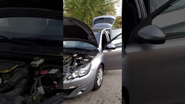 продажа свежепригнаного Пежо 308, панорама смотреть онлайн