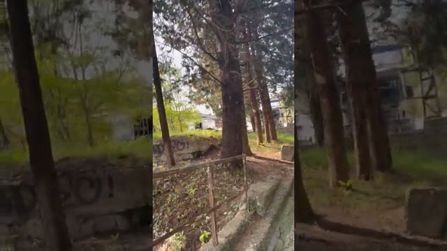 Здоровье. Влог 1. Прогулка со мной и много полезного смотреть онлайн