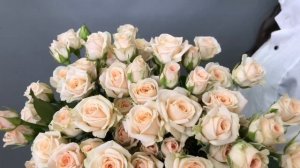 Кустовая роза "Яна"