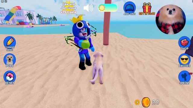 Я СТАЛА ЩЕНОЧКОМ В РОБЛОКС ! ВЕЧЕРИНКА СОБАЧЕК В РОБЛОКС ! Puppy Game ROBLOX смотреть онлайн