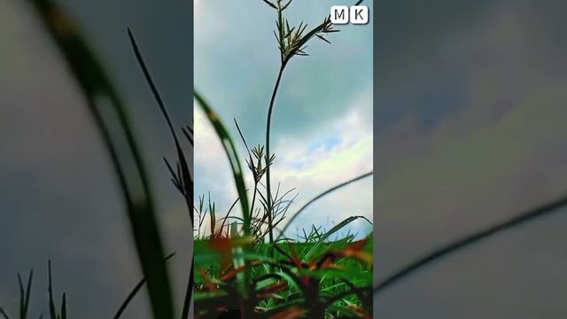 Rakh loon chupa ke mn kahin❤❤❤❤ смотреть онлайн