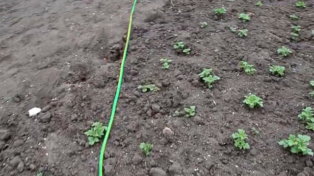 мини насос для дачи 2 смотреть онлайн